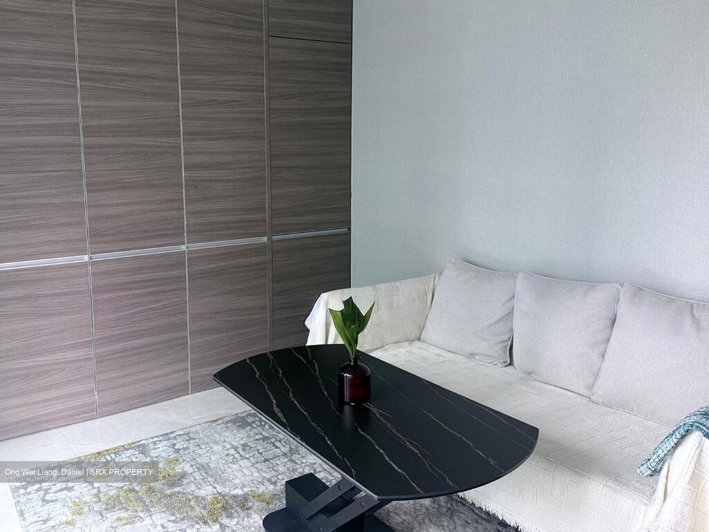 8 Saint Thomas (D9), Condominium #499495561